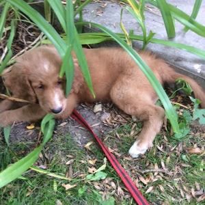 Meet your Posher, Arvilla